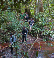 Patrick Blanc with Marc Jeanson and the students in Master coming back from the forest, Campo, Cameroun, March 2018