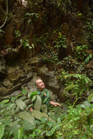 Patrick Blanc between the plagiotropic shrubby Ficus uncinata and the brown velvety leaves of the climbing Piper porphyrophyllum, Fraser&#039;s Hill, Malaysia, Dec. 2016