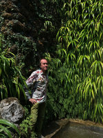 Patrick Blanc close to a waterfall covered by Iris japonica and Adiantum capillus-veneris, Villa Carlotta, Como lake, Italy, June 2015