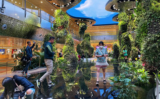 People in the Dreamscape Garden at Changi T2, walking on the transparent glass and looking at the fish in the same way as in the Patrick Blanc&#039;s home Christarium