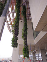 Perez Art Museum Miami, first installed columns , 25th October 2013