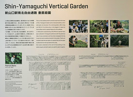 Photo and text  board explaining the story of the vertical garden created at the Shinkansen station, Yamaguchi, Japan