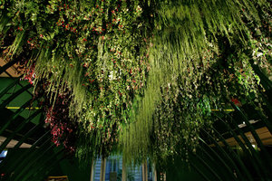 Plafond Vegetal at the Patrick Blanc&#039;s exhibition Folies Vegetales, Espace EDF Electra, Paris