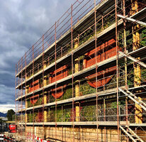 Plant installation on the north façade vertical garden, Oiken station, Sion, May 2026