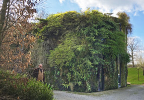 Private Green House in Bruxelles at the end of the 14th winter, March 2019