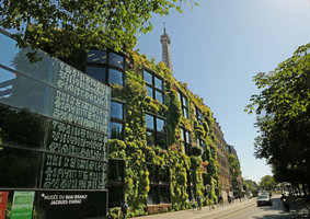 Quai Branly Jacques Chirac Museum, the Vertical Garden by Patrick Blanc, 13 years after its creation, June 2017