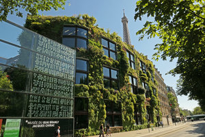 Quai Branly Jacques Chirac Museum Vertical Garden by Patrick Blanc, 13 years after its creation, June 2017