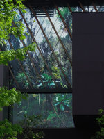Quai Branly Museum, translucent façade with  photo by Patrick Blanc of Lobelia lanuriensis and Dendrosenecio erici-rosenii the mossy forest of Mount Ruwenzori, Ouganda