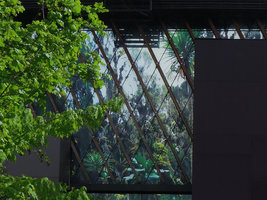 Quai Branly Museum, translucent façade with  photo by Patrick Blanc of Lobelia lanuriensis the mossy forest of Mount Ruwenzori, Ouganda