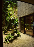 Racines Echasses du Patio and Canyon, Vertical Gardens by Patrick Blanc,  Oct. 2016, Il Sereno, Como Lake, Italy