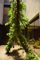 Racines Echasses du Patio as a walking giant, Il Sereno, Como Lake, Italy, Oct. 2016