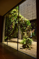 Racines Echasses du Patio, Il Sereno, Como Lake, Italy, Oct; 2016