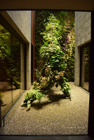 Racines Echasses du Patio, view from inside, Le Sereno, Como Lake, Italy