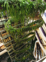 Rain Forest Chandelier by Patrick Blanc, one year after completion, EmQuartier, Bangkok, May 2016