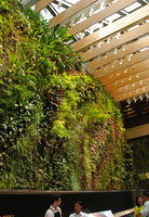 Rainforest Rhapsody Vertical Garden, Capitaland, Singapore