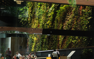 Rainforest Rhapsody Vertical Garden, Capitaland, Six Battery Rd, Singapore