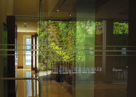 Reflection of the Vertical Garden, Foundation for the Carolinas, Charlotte, NC, USA, April 2013