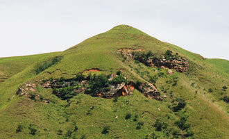 Relictual forest on vertical cliffs of grabens, thus protected from grazing and savanna fires, Royal Natal NP, South Africa
