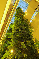 Robinsons Dubai, One Green Column