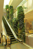 Robinsons Dubai, the Green Columns