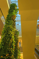 Robinsons Dubai, the Green Columns corridor