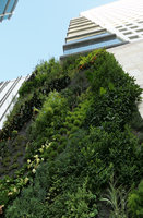 Robinsons Dubai, VIP Drop Off Vertical Garden