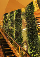 Robinsons, the Green Columns by Patrick Blanc at night, Dubai