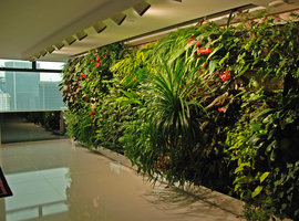 Ronald Lu Office Vertical Garden, Hong Kong