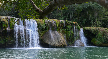 Seemannia sylvatica flowering at the top of a permanent waterfall, the high concentration in calcium carbonates creating travertine mushrooms, Bonito, Mato Grosso do Sul, Brazil
