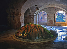 Seeping Rock and Green Flows by Patrick Blanc, In situ In visu exhibition, Albi, France