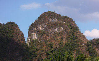 Semi-deciduous forest on the vertical limestone cliffs in the dry season, Khao Sok, Thailand