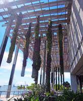 Sheltered corridor with Hanging Columns, PAMM Museum, Miami, July 2016