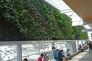 Shinkansen station Vertical Garden by Patrick Blanc, Yamaguchi, Japan