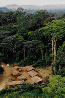 Site of the Radeau des Cimes scientific expedition where Patrick Blanc discovered Cercestis blancii, Ebodje, Campo, Cameroon, Oct. to Dec.. 1991