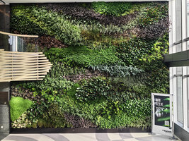 Smart River vertical garden by Patrick Blanc, Raycom Tower, Beijing