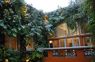 Snow on the Vertical Garden in Patrick Blanc home