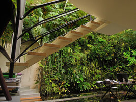 Stairs, books, desk, aquarium and the vertical garden in Patrick Blanc&#039;s home