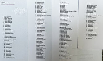 The 238 species selection of lianas and climbers by Patrick Blanc to cover Le Nouvel Towers in Kuala Lumpur