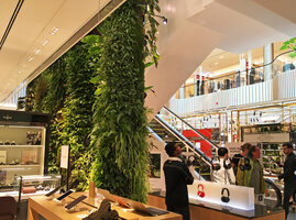 The Green Columns at Robinsons, Festival City, Dubai