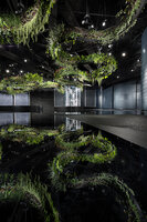 The Jungle Dragon Dance and its reflection, C Future Lab, C Future City, Shenzhen, China