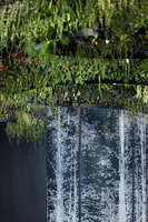 The Jungle Dragon Dance, hanging plants, C Future Lab, C Future City, Shenzhen