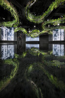 The Jungle Dragon Dance in C Future Lab, C Future City, Shenzhen, China