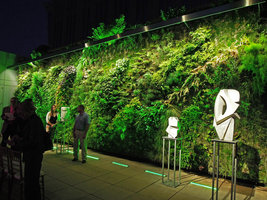 The Vertical Garden at night, Foundation for the Carolinas, Charlotte, NC, USA, April 2013