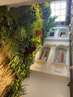 The vertical garden by Patrick Blanc in the patio at Duxton, Singapore