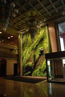 The Wild Dance, National Theater, Taipeh, Taiwan