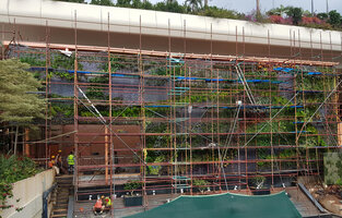 Tiger Wings at Bangalore Airport, plant installation in progress