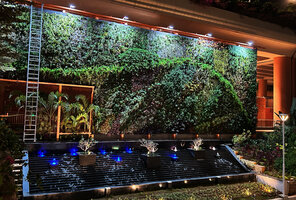 Tiger Wings vertical garden by Patrick Blanc at night, Bangalore