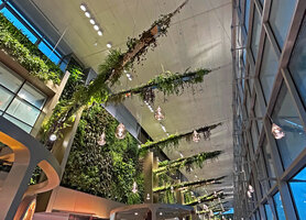 Top blades with hanging plants in the gourmet garden, Changi T 2, Singapore
