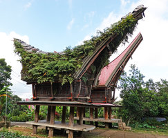 Toraja houses rice barns, an old traditional tongkonan one with bamboo roof covered by plants and a modern one with corrugated metal sheet roof not allowing plant installation, Tana Toraja, South Sulawesi