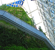 Torre de Cristal, Vertical Garden summit, Madrid, May 2010
